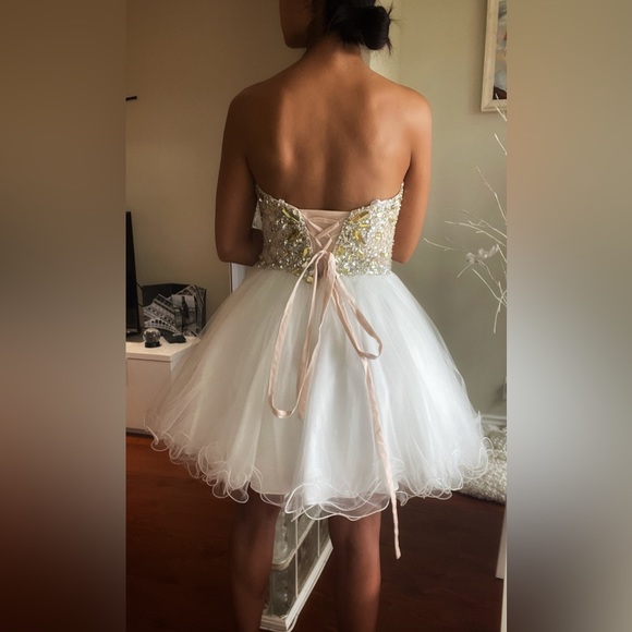 Gorgeous Tulle Dress - Picture 4 of 4